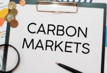 Africa Must Leverage Carbon Markets to Tackle Rural Energy Gaps, Unlock Billions in Climate Finance-UNDP