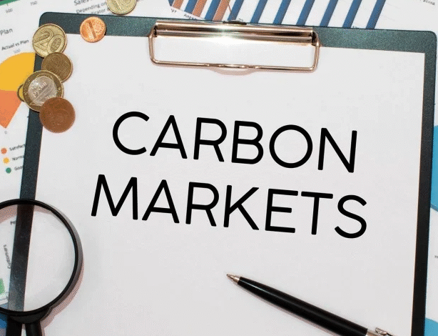 Africa Must Leverage Carbon Markets to Tackle Rural Energy Gaps, Unlock Billions in Climate Finance-UNDP