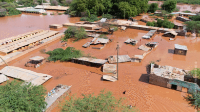 African Nations Hardest Hit by Climate Shocks Are Now Leading Adaptation Efforts -GCA