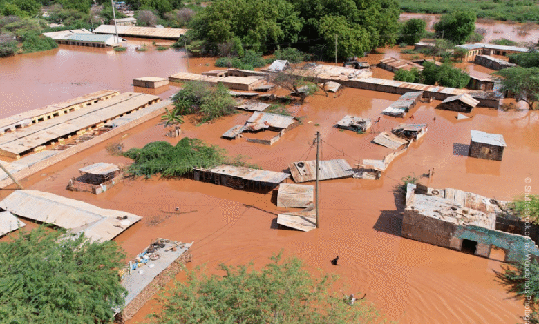 African Nations Hardest Hit by Climate Shocks Are Now Leading Adaptation Efforts -GCA