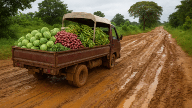 Bad Roads, High Prices: Vegetable Exporters Say New Budget Road Plan Could Ease Food Inflation