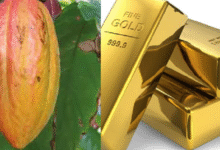 Ghana’s Gold Aggregation Model Could Deliver Greater Economic Gains Than Cocoa — If Managed Well