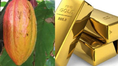 Ghana’s Gold Aggregation Model Could Deliver Greater Economic Gains Than Cocoa — If Managed Well