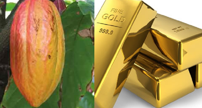 Ghana’s Gold Aggregation Model Could Deliver Greater Economic Gains Than Cocoa — If Managed Well