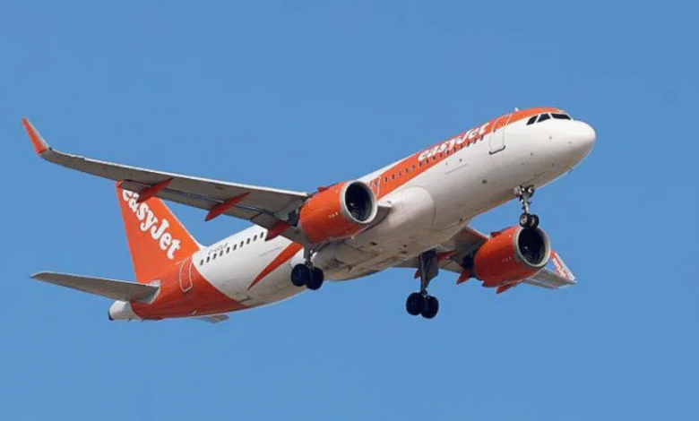 Airbus Grounds Thousands of Aircraft Amid Solar Radiation Software Glitch