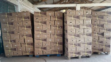 Ghana’s Vegetable Export Hub Faces Uncertain Future as Eviction Fears Mount