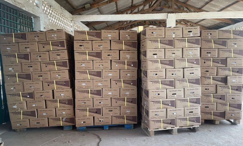 Ghana’s Vegetable Export Hub Faces Uncertain Future as Eviction Fears Mount