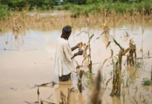 National Farmers’ Day: A Celebration Built on Poisoned Soil and Toxic Rivers