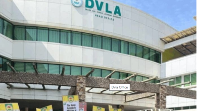 Conflicting Statements Cloud DVLA Diaspora Licensing Plan