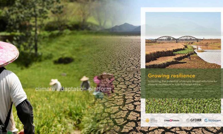 Africa Rallies Capital to Unlock Green Economy Potential