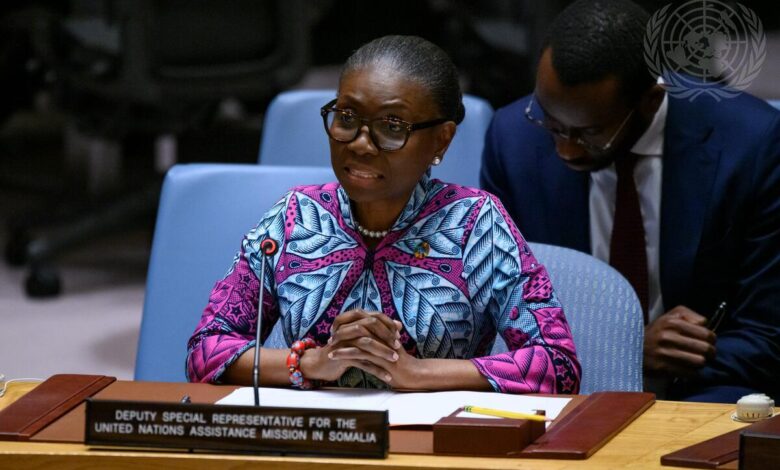 Ghanaian Diplomat Takes On One of UN’s Toughest Peacekeeping Roles