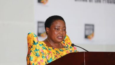 Africa Races Against Time to Deliver on SDGs as 2030 Deadline Nears