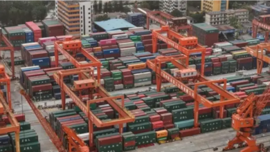 China Opens Zero-Tariff Gateway as Africa Targets Value-Added Export Boom