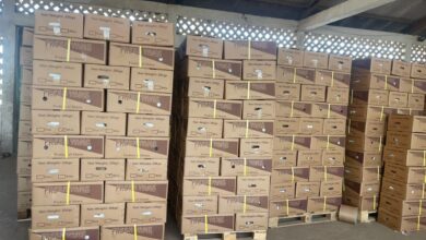 Yam Export Boom Masks Data Gaps as Reconciliation Reveals Hidden Trade Value