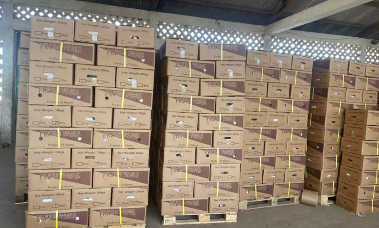 Yam Export Boom Masks Data Gaps as Reconciliation Reveals Hidden Trade Value