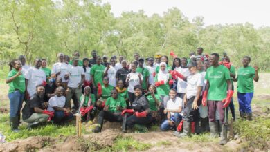 Climate Risk Is Becoming a Lending Risk and Ghana's Banks Are Responding
