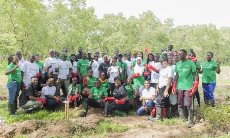 Climate Risk Is Becoming a Lending Risk and Ghana's Banks Are Responding