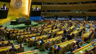 Amref Takes African Health Concerns to UN General Assembly