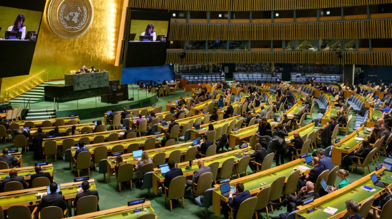 Amref Takes African Health Concerns to UN General Assembly