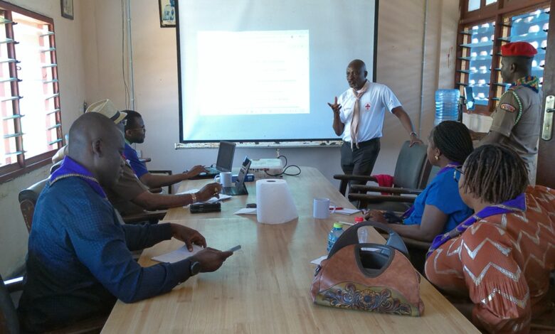 Ghana Scouts Tighten Board Oversight with Training on Governance