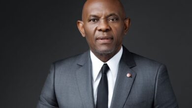 Elumelu Calls for New African Growth Model Built on Trade and Investment